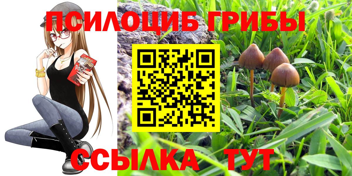 Галлюциногенные грибы Cubensis  Вход с VPN  Каспийск 